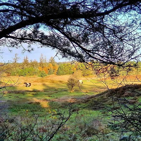 Casa vacanze 6 Person In